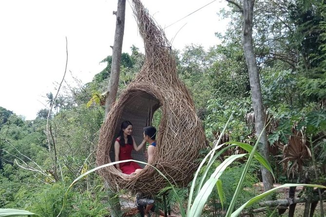 Best of Ubud Full Day Private Guided Tour - Happy Swing Bali and the cost of a perfect photo
