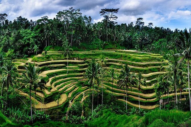 Best Of Ubud Private Day Tour With Local Guide - Celuk Village shows Bali’s craft tradition