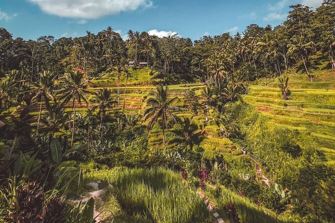 Best Of Ubud Private Day Tour With Local Guide - The private driver is central to the experience
