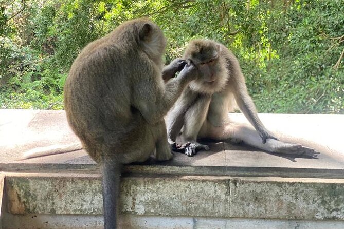 Best Of Ubud Private Day Tour With Local Guide - What the $51.51 price really covers