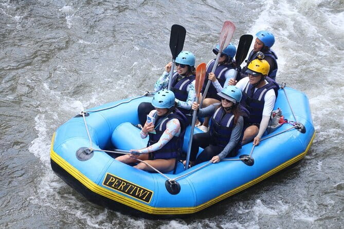 Best Of Ubud Rafting And Swing All Inclusive - Is $48 per person a good deal?