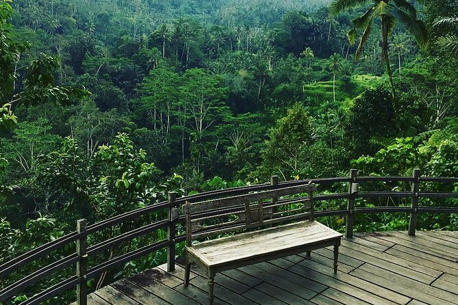 Best of Ubud: Rice Terrace, Temple and Waterfall Private Tour - Campuhan Ridge Walk is the calmest stop