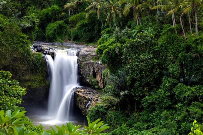 Best of Ubud: Rice Terrace, Temple and Waterfall Private Tour - The long list of extra stops needs careful planning