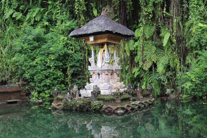 Best of Ubud with Jungle Swing Experience - What this private Ubud tour is really offering