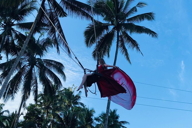 Best of Ubud with Jungle Swing Experience - The palace, monkey forest, and jungle swing question