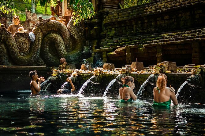 Best Ubud Tour Private Tour All Inclusive Package - Key points to know before booking