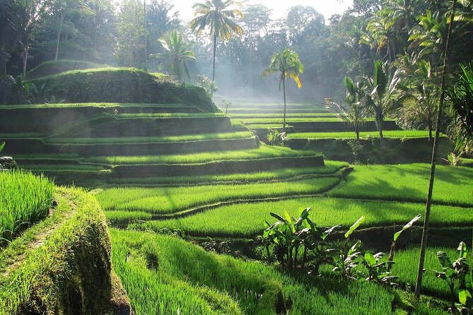 Best Ubud Tour Private Tour All Inclusive Package - A full Ubud day from Kuta