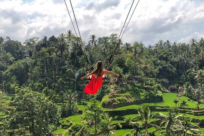 Best Ubud Tour Private Tour All Inclusive Package - Happy Swing Bali for the big photo