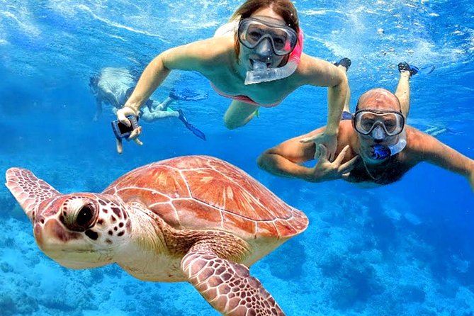 Blow Lagoon Bali Snorkeling and see Bali Bats Cave Temple - Blue Lagoon makes a practical snorkeling day