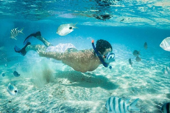 Blow Lagoon Bali Snorkeling and see Bali Bats Cave Temple - The traditional boat ride and two hours on the reef