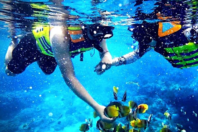 Blue Lagoon Paradise Snorkeling Tour - Key points at a glance