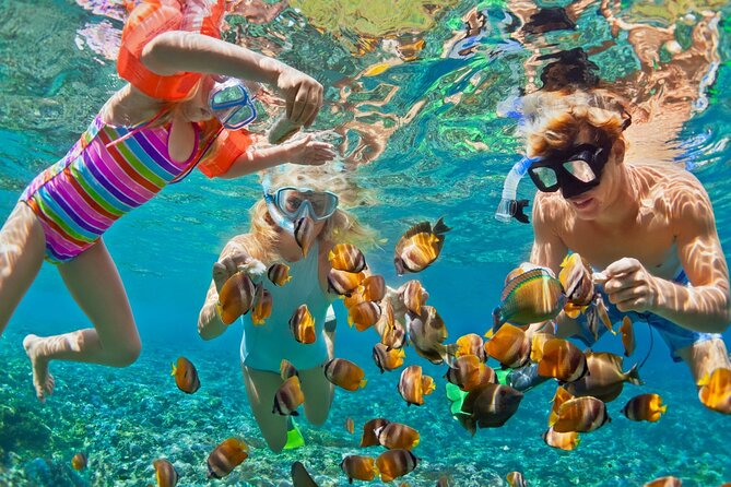 Blue Lagoon Snorkeling - Cave Waterfall - And More - All Included + FREE Wi-Fi - What a private boat changes