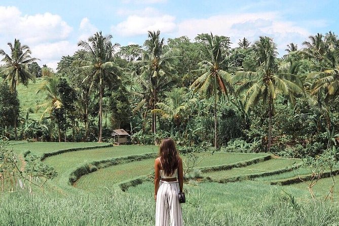 Blue Lagoon Snorkeling - Jungle Swing - Ubud - All Inclusive - Route extras depend on where you stay