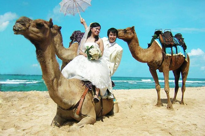 Camel Safari 30 minutes In White Sand Beach - A camel ride on Sawangan’s white sand