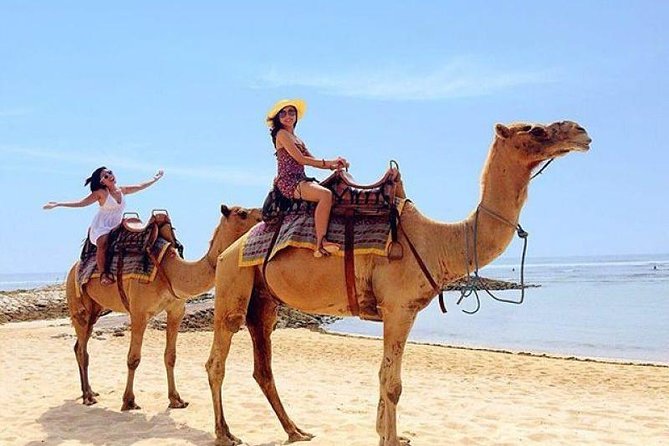 Camel Safari 30 minutes In White Sand Beach - What the 30-minute itinerary feels like