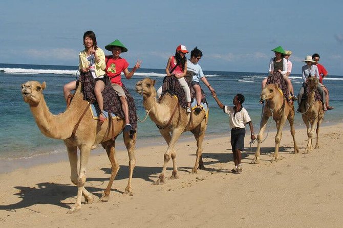 Camel Safari 30 minutes In White Sand Beach - Saddles, pace, and confidence on the camel