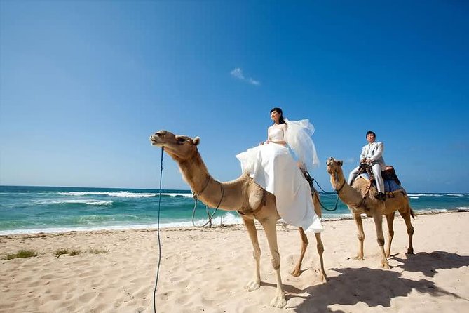Camel Safari 30 minutes In White Sand Beach - Weather and cancellation details