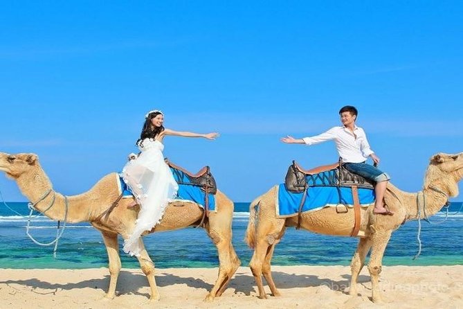 Camel Safari 30 minutes In White Sand Beach - Why the private transfer adds real value