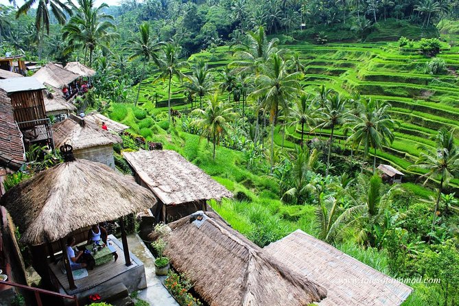 Charter Standard Vehicle with Driver at Bali- 5 Hours Usage - Choosing a route around Nusa Dua and Uluwatu