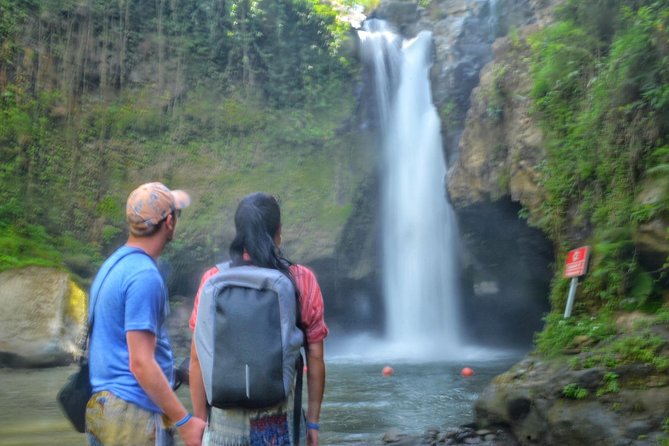 Cretya Ubud and Monkey Forest Sanctuary Tours - Four Bali experiences in one long private day