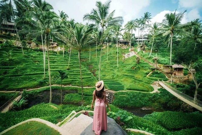 Cretya Ubud and Monkey Forest Sanctuary Tours - Sacred Monkey Forest Sanctuary and its grey macaques