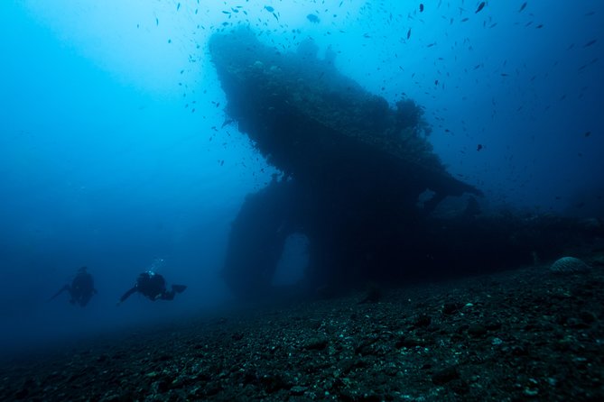 Day Trip certified divers - 3 Dives in Tulamben (pick-up & drop-off included) - The 7am pickup and the long ride north