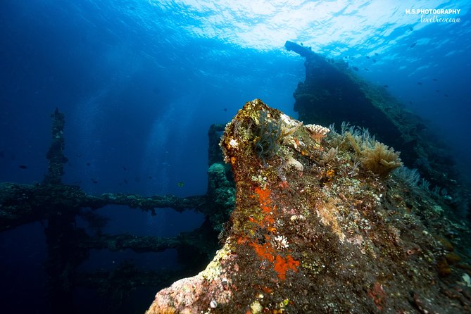 Day Trip certified divers - 3 Dives in Tulamben (pick-up & drop-off included) - First session: the USS Liberty wreck