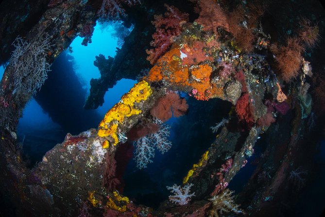 Day Trip certified divers - 3 Dives in Tulamben (pick-up & drop-off included) - Visibility, weather, and the limits of underwater sightseeing