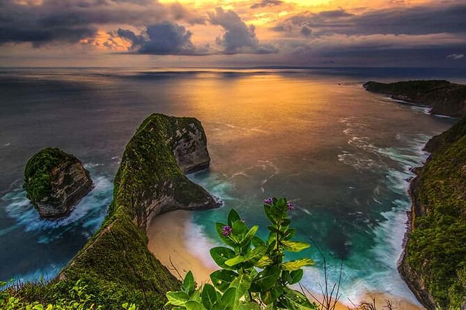 Day Trip to Nusa Penida with All Inclusive - Crystal Bay, palms, sand, and reef views