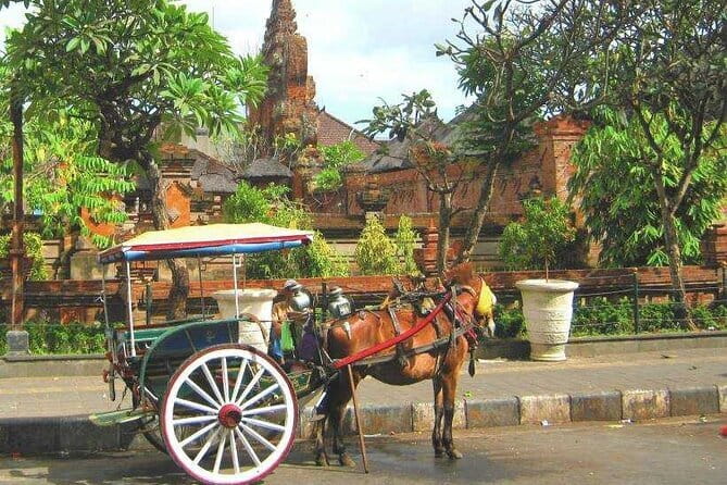 Discover Bali : Shore Excursion from Benoa Port with Free Wi-Fi - Key points to know before leaving Benoa Port