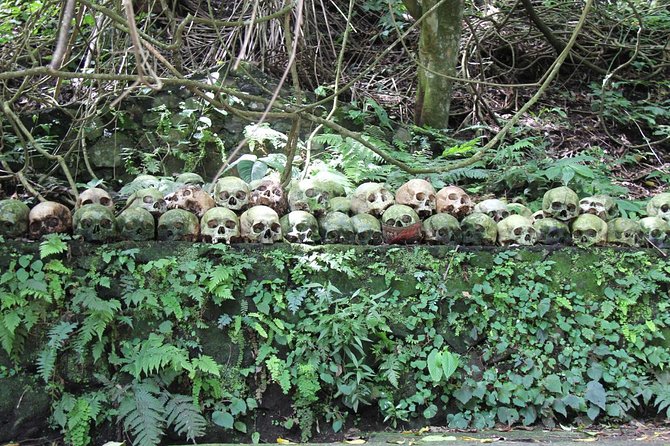 Discover Balinese Mystic & Death Ritual in Bali - Is $81.80 a fair price?