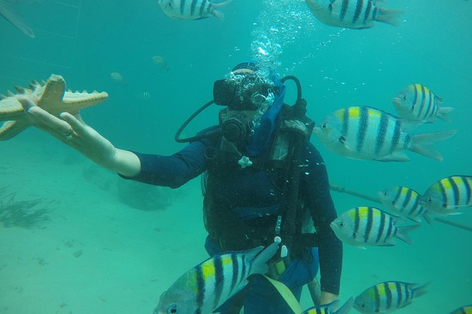 Discover Scuba Diving ( beginners) Combined With Jet Ski - A first taste of scuba at Tanjung Benoa