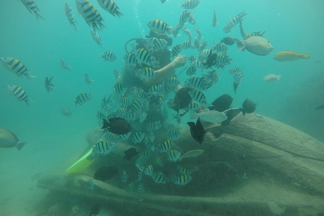 Discover Scuba Diving ( beginners) Combined With Jet Ski - What the beginner scuba session feels like