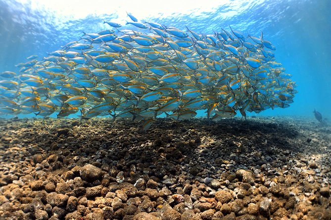 Discover Scuba Diving Tulamben Bali For Non-Certified Divers - From Kuta to Sanur, then north to Tulamben