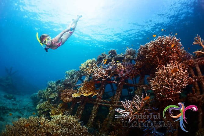 Fly Board Experience in Bali - Why Nusa Dua works for this outing
