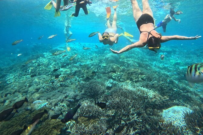 From Bali: Nusa Penida Full Day Tour and Snorkeling - What the $91 price includes