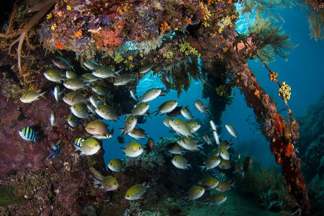 Full-Day Discover Scuba Diving Tour for Beginners in Tulamben - A proper break at the center