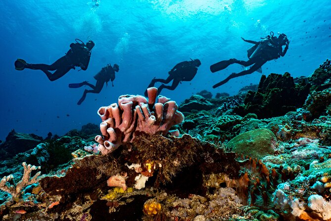 Full-Day Discover Scuba Diving Tour for Beginners in Tulamben - Entering the USS Liberty wreck area