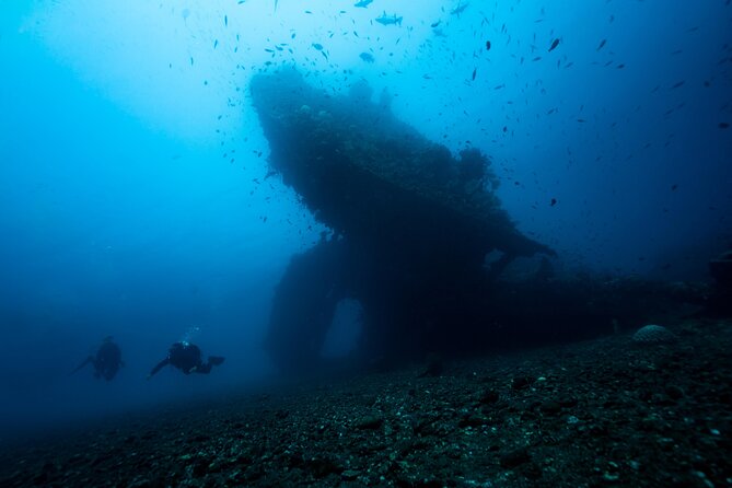 Full-Day Discover Scuba Diving Tour for Beginners in Tulamben - Who should book this Tulamben day