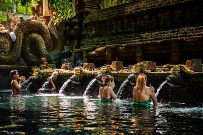 Full-Day Highlights and Best of Ubud Village