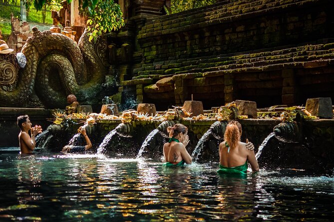 Full-Day Highlights and Best of Ubud Village - Tirta Empul: understand the holy spring