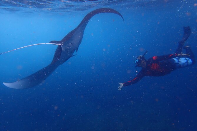 Full-Day Island-Hopping Tour from Bali - Sanur Beach to Nusa Lembongan