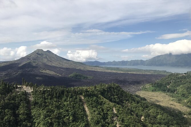 Full Day Kintamani Volcano View and Ubud Village Tour - Ubud Monkey Forest: temple grounds and wild animals