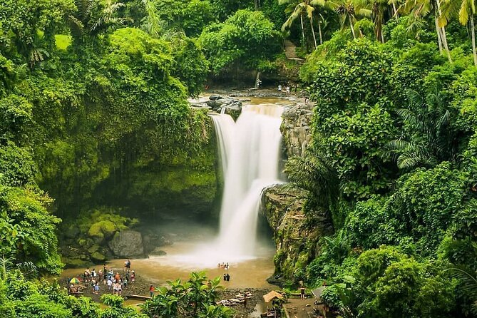 Full Day Private Guided Tour in Bali - Tegalalang Rice Terrace is the classic Ubud view