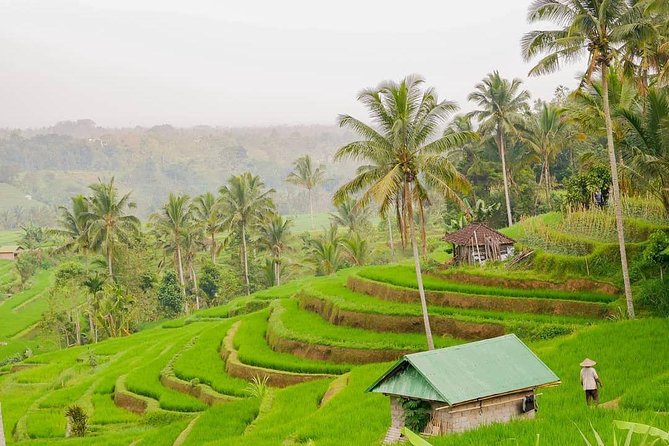 Full-Day Private North Bali Tour with Free WiFi - Tanah Lot and the first look at Bali’s coast