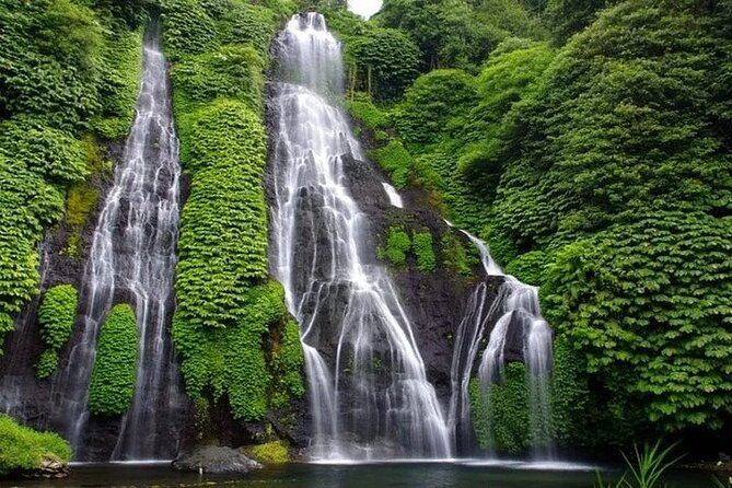 Full Day Private Tour in Bali - Taman Ayun, a royal temple garden near Mengwi