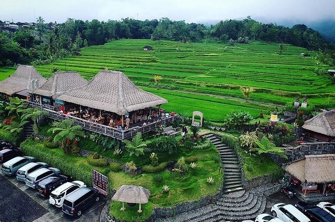 Full Day Private Water Temples Tour in Bali - Extra stops that may change the shape of the day