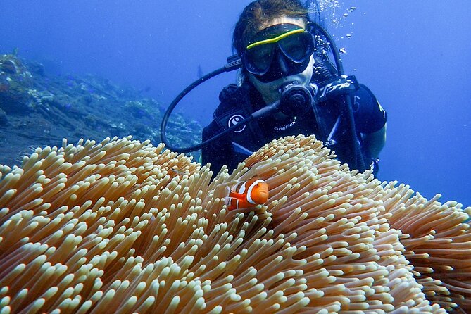 Full-Day Scuba Diving Experience of USAT Liberty in Tulamben - Why the USAT Liberty wreck makes this outing special