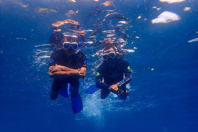 Full-Day Scuba Diving Experience of USAT Liberty in Tulamben - First session: 30 to 45 minutes at USAT Liberty