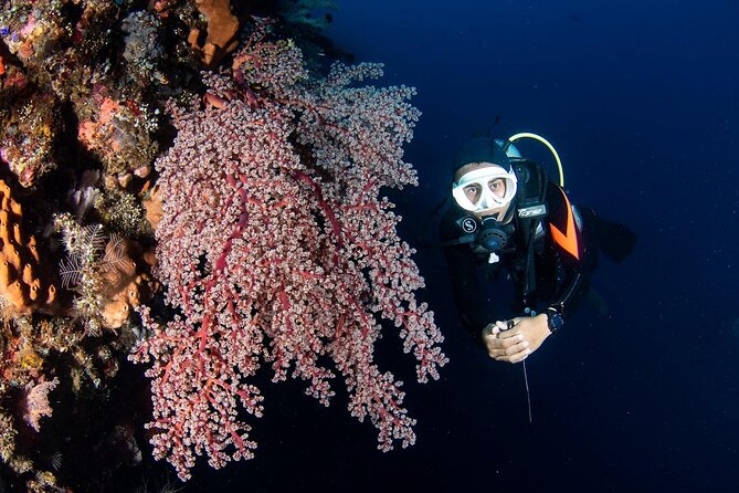 Full-Day Scuba Diving Experience of USAT Liberty in Tulamben - The 7:30 AM pickup from Jimbaran